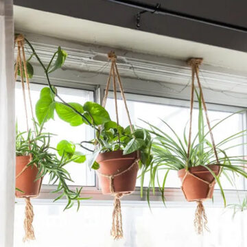 Elevate Your Greenery Stylish Hanging Planters for Indoor Spaces