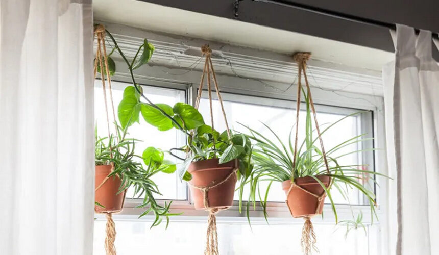 Elevate Your Greenery Stylish Hanging Planters for Indoor Spaces