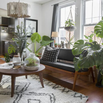 Unlocking the Potential of Junk Drawer Items for Happy Houseplants