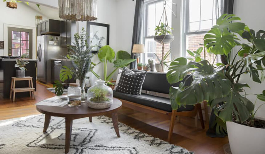 Unlocking the Potential of Junk Drawer Items for Happy Houseplants