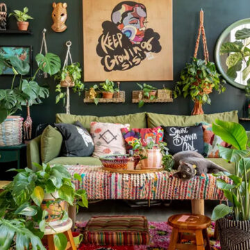 Houseplant Trends 2024: A Shift to Quality and Diversity