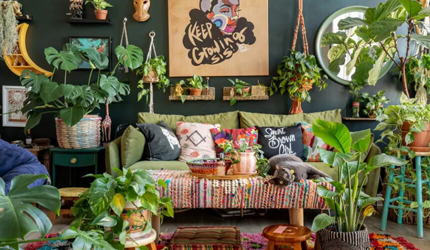 Houseplant Trends 2024: A Shift to Quality and Diversity