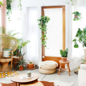 Illuminating Your Indoor Jungle A Guide to Grow Lights for Houseplants