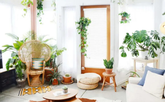 7 Illuminating Your Indoor Jungle A Guide to Grow Lights for Houseplants Illuminating Your Indoor Jungle A Guide to Grow Lights for Houseplants