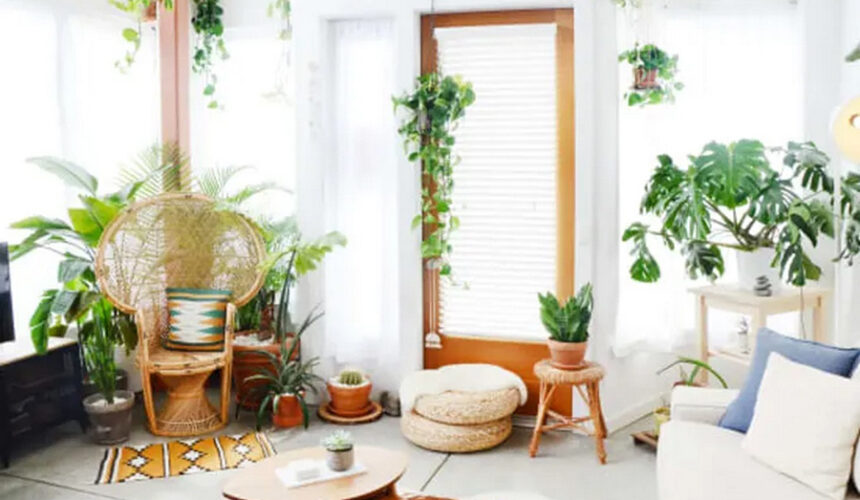 Illuminating Your Indoor Jungle A Guide to Grow Lights for Houseplants