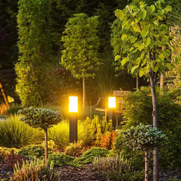 Blossom Brilliance Elevating Garden Aesthetics with Creative Lighting Techniques