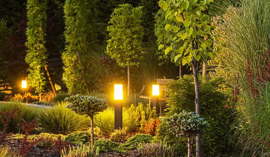 Blossom Brilliance Elevating Garden Aesthetics with Creative Lighting Techniques