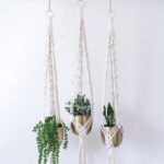 Elevate Your Greenery: Stylish Hanging Planters for Indoor Spaces-Sheet4