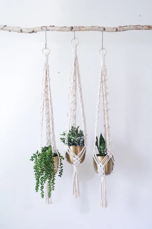 Elevate Your Greenery: Stylish Hanging Planters for Indoor Spaces-Sheet4